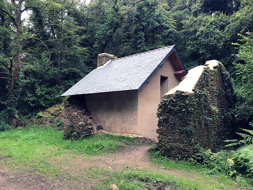 Image 5