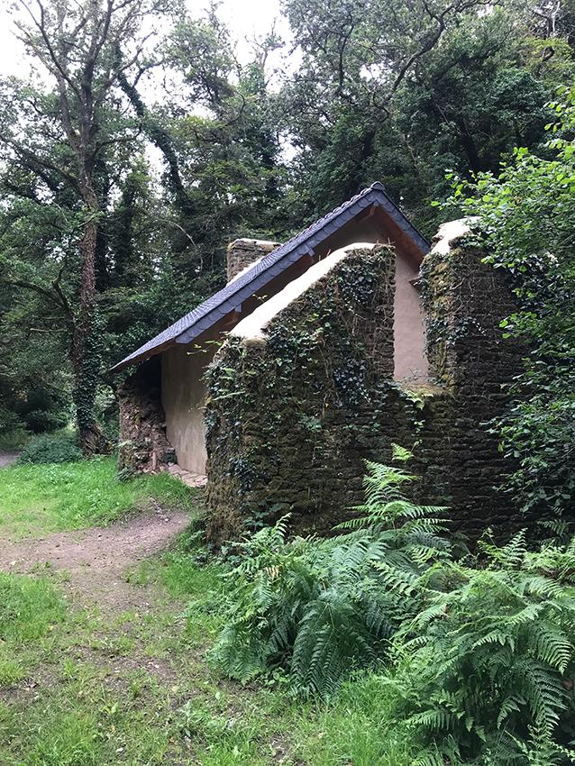 Image 7